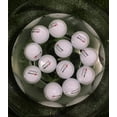 thumbnail image 2 of A99 Golf 12pcs Floating Golf Balls Floater Ball Float Water Range New (White), 2 of 10