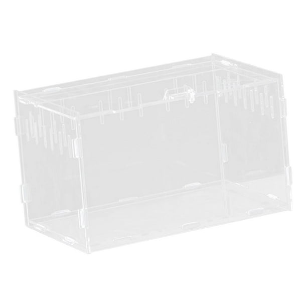 Caja de alimentación para reptiles, caja para tortugas, hábitat espacioso para incubación, terrario, tanque de cría, contenedor para tortugas, 25x15x15cm