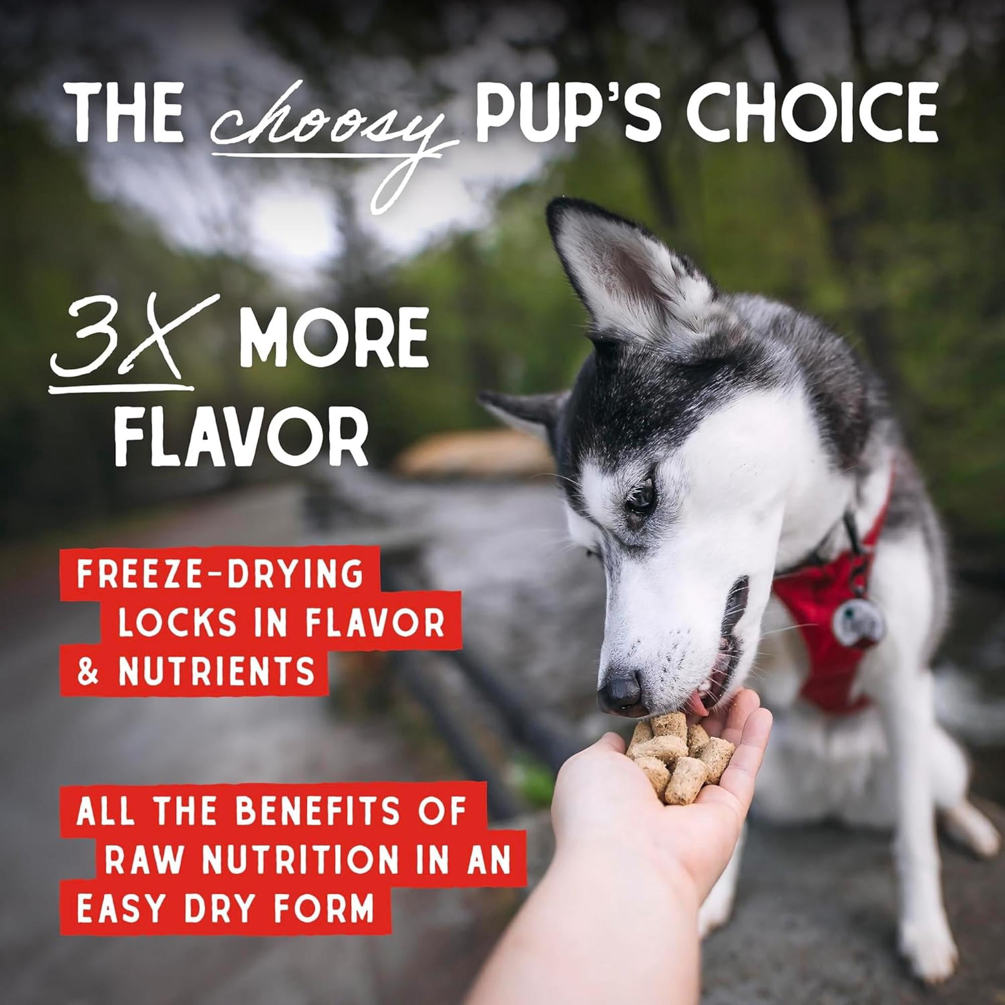 Stella & Chewy's Freeze-Dried Raw Meal Mixers Dog Food Topper - Tantalizing Turkey Recipe - 1 Ounce Bag