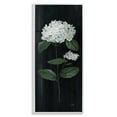 thumbnail image 5 of Stupell Industries Hydrangea Flower Blossom Distressed Dark Background Painting White Framed Art Print Wall Art, Design by Nan, 5 of 5