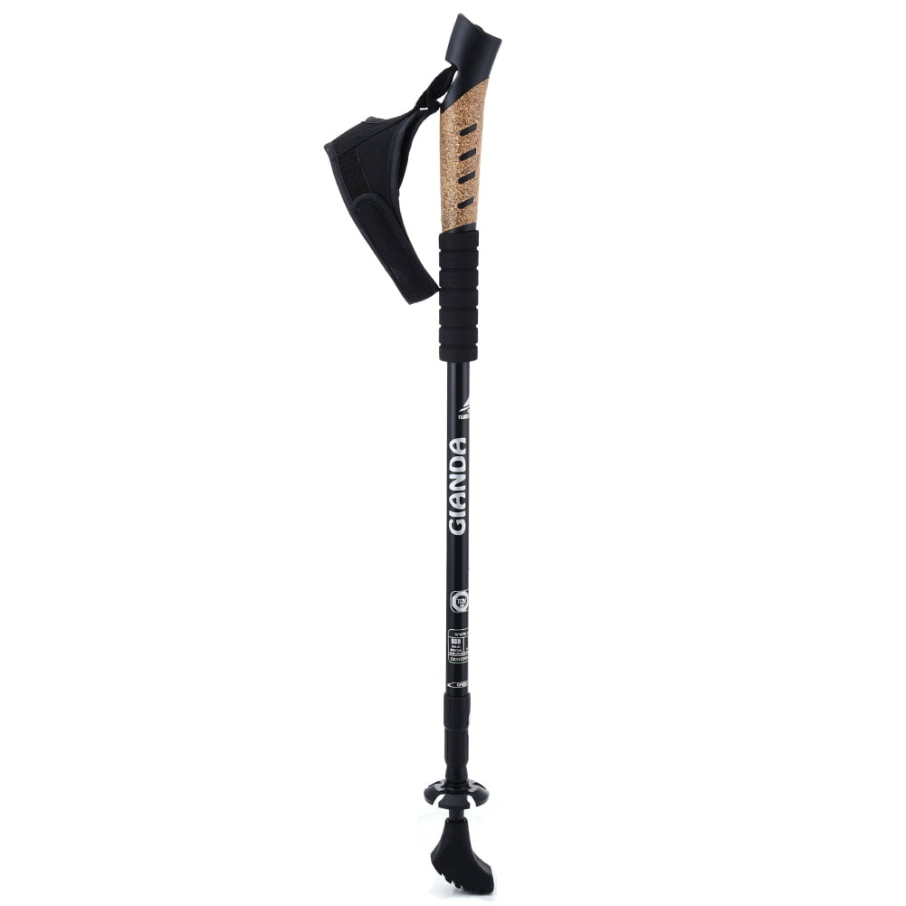 mountain climbing sticks