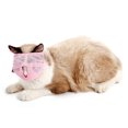 thumbnail image 2 of Flmtop Multi-Propose Anti Bite Muzzle Breathable Pet Bathing Bag Cat Head Face Cover Pink, 2 of 9