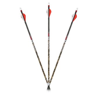 Flèches Carbon Express Maxima PNK RZ Matthews Edition 150 – 12 Pièces Avec Inserts, Pink