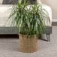 thumbnail image 3 of Household Essentials Round Seagrass Basket with Handles, Natural, 3 of 6