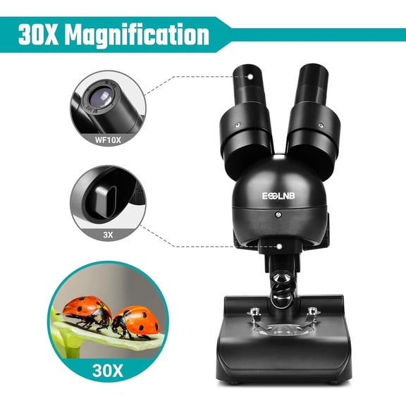 Mounted Binocular Stereo Microscope