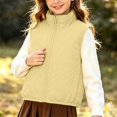 thumbnail image 6 of Fesfesfes Kids Unisex Stand Collar Full Zip Vest Lightweight Windproof Sleeveless Jacket Casual Sporty Outerwear for Boys Girls Ages 2-10 Years, 6 of 7