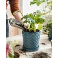 thumbnail image 6 of BEMAY Ceramic Plant Pots, 5.5" Indoor Planters with Drainage Hole and Saucer, Set of 2 Flower Pots for Succulent and Cactus,Blue, 6 of 7