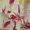Fucshia Tropical, variant on No Boundaries Smocked Ruffle Dress, Women's