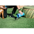 thumbnail image 3 of Dexas MudBuster Portable Dog Paw Washer/ Paw Cleaner, Large, Pro Blue, 3 of 6