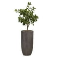 thumbnail image 1 of Vintage Home Artificial Faux Tung Tree 46.25" High Fake Plant Real Touch for Indoor Home and Office Accent Décor with Stylish Resin Planter, 1 of 3