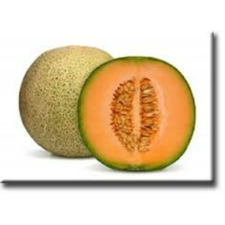 The Dirty Gardener Hales Best Jumbo Melon Seeds, 1