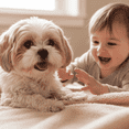 thumbnail image 2 of Pets, Paws and Ideas Couverture Imperméable pour Animaux de Compagnie pour Chiens et Chats, Protecteur Réversible pour Meubles, Lit et Canapé, Anti-Éclaboussures, Lavable, Housse en Flanelle Douce Sherpa Design Tabby, 2 of 7