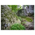 thumbnail image 2 of Rocky Deep Moss Forest Ukraine - Landscape Canvas Art Print, 2 of 3