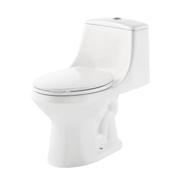 Monopy International MT20102 1.28 gpf ADA Elongated Dual Flush AllIn