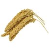 Birds LOVE Wholesome & Lovely Spray Millet Non_GMO for Birds Cockatiel Lovebird Parakeet Finch Canary All Parrots Healthy Treat - 1LB