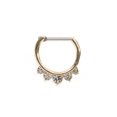 thumbnail image 1 of Septum Clicker Ring with Multiple Cz Gems 16g Cartilage Septum Tragus Rook, 1 of 12