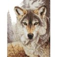 thumbnail image 2 of Cuadros Decorativos Wolf Spirit 14CT estampado punto de cruz bordado lienzo costura (D519) Likrtyny  embutido en tela, 2 of 9