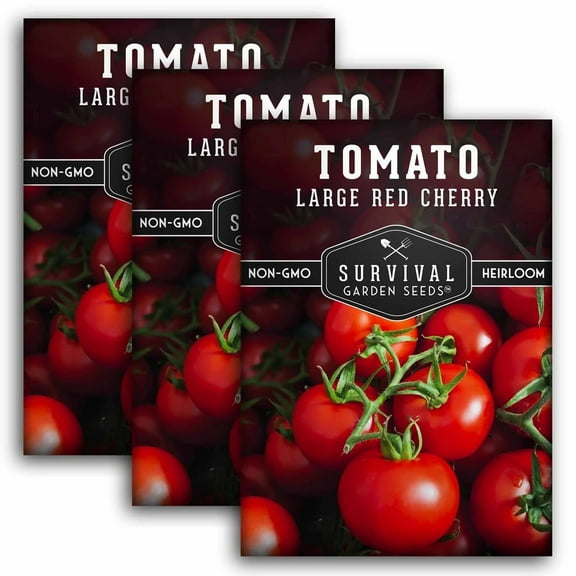 3 Packs Large Red Cherry Tomato Seeds - Non-GMO Heirloom Full Sun Annual Vegetable