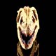 thumbnail image 5 of Figura de dinosaurio decorativa, modelo de calavera para colección de anatomía, decoración de Halloween, 5 of 9