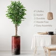 thumbnail image 3 of Artificial Tree in Modern Planter, Fake Ficus Silk Tree for Indoor and Outdoor Home Decoration - 75" Overall Tall (Plant Pot Plus Tree), 3 of 5