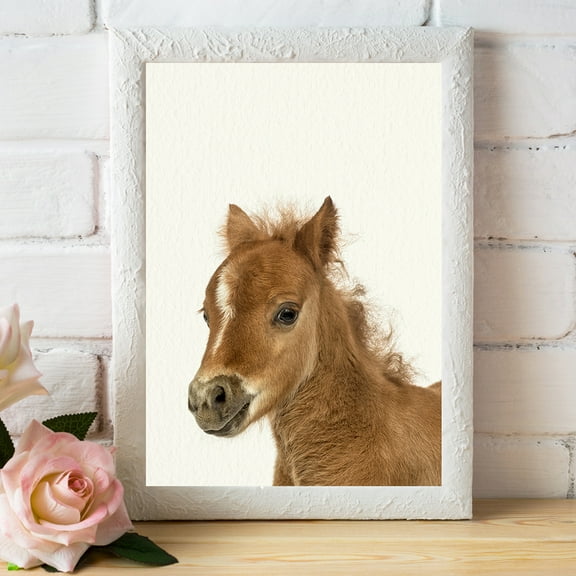 Baby Farm Foal - Nursery Wall Décor Farm Baby Animal Art Print