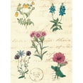 thumbnail image 2 of Vision Studio 15x18 White Modern Wood Framed Museum Art Print Titled - Botanical Journal III, 2 of 4