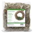 thumbnail image 1 of Floracraft Spanish Moss 8Oz-Natural, 1 of 2