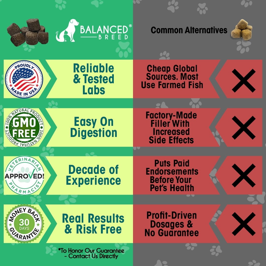 Balanced Breed Dog Probiotic & Odor Control Chews Bad Breath Digestion Enzyme Supplement Soft Chews, Chicken Flavor, 60 Count Jar