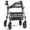 Champagne Gold, variant on HOMLAND Foldable Rollator Walker with Memory Foam Seat for Seniors, 350 lb. Capacity Heavy-Duty Mobility Walker, 8'' Big Wheels, Red