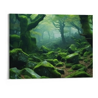 Green Forest Canvas Wall Art Living Room Decoration Big Trees Nature Picture Large Modern Canvas Artwork Contemporary Woods Mossy Rock Spring Season