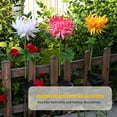 thumbnail image 3 of Amdohai Solar Flower Lights Outdoor Solar Powered Lights Chrysanthemum Flower Shaped, 3 of 7