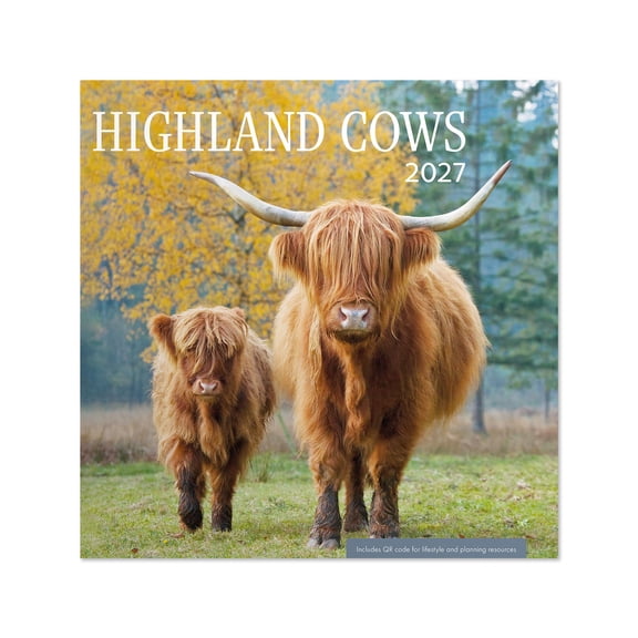 2027 Highland Cows Wall Calendar 12x12 January-December Gridded