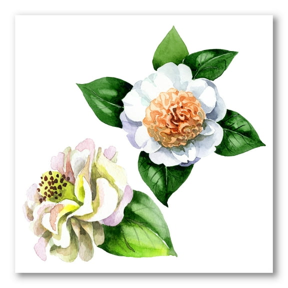 Ancient White Camellia Flowers With Green Leaves 30 in x 30 in Painting Canvas Art Print, by Designart