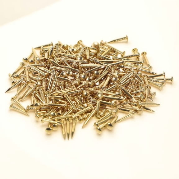 LOLIPPYY Brass Nails Decorative Accessories for Furniture Tacks 200Pcs 0.3X0.1In