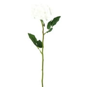 Teters Floral Soft Open Rose Silk Stem