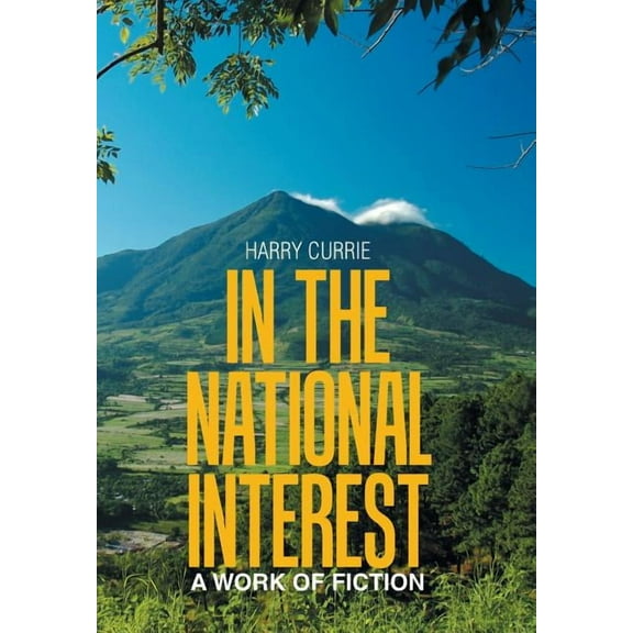 In the National Interest: A Work of Fiction (Hardcover)