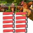 thumbnail image 3 of Correa Para El Cuello Antigancho, 5 Bolsas, Collar De Gallo, Ajustable Para Pollo Mascota, 3 of 7