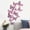 Hot Pink, variant on 12PCS Metal Texture Hollow Butterfly Wall Sticker EDHITNR 3D Metallic Effect Removable Decals for Living Room Bedroom Nursery Party Decor Paper Art for Wall Window Mirror