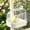 White, variant on Bird Bath Box for Cage, Hanging Bird Bath Tub for Parakeet Cockatiel Lovebird Budgie Finch, Splash Guard Bird Bath with Clear Window, Indoor Bird Cage Bath Accessories