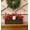 Brown, variant on Paper Rope Scalloped Edge Toilet Paper Storage Basket, Small Living Room, Bedroom Decor Baskets for Over Toilet Storage Shelf, End Table, Shelves and More, with 2 Wooden Handle