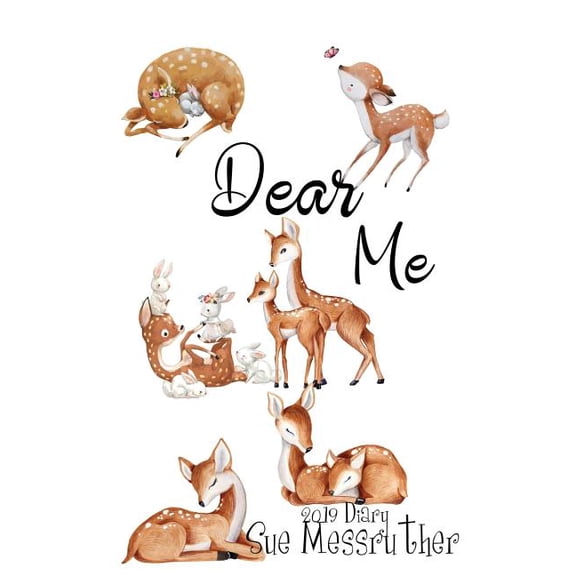 2019 Diary: Dear Me (Paperback)