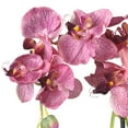 thumbnail image 3 of Nearly Natural Phalaenopsis with Glass Vase Silk Flower Arrangement, 3 of 7