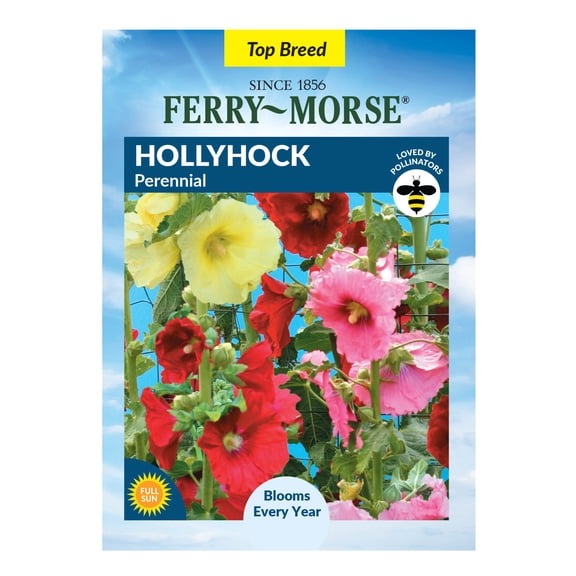 Ferry-Morse 325MG Hollyhock Perennial Perennial Flower Seeds, Full Sun