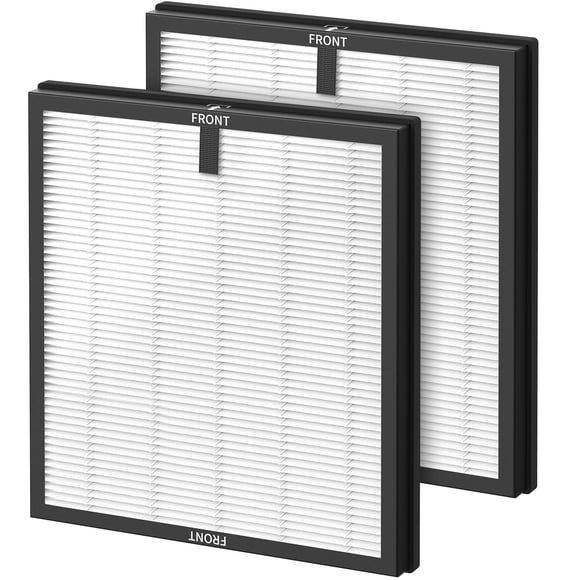 Paquete de 2 filtros HEPA WILERDA HY4866 para purificador de aire MORENTO/WESTHEY