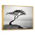 thumbnail image 2 of Designart "Vision Of Solitary Tree By The Beach II" Coastal Tropical Floater Framed Wall Decor, 2 of 5
