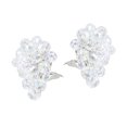 thumbnail image 5 of Misty Forest Clear Crystal Grape Clip On Earrings, 5 of 5