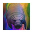 thumbnail image 3 of Manatee Pop Splendor - Canvas, 3 of 25