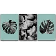 thumbnail image 3 of PixonSign Canvas Print Wall Art Set Monstera Leaf & Plant Display Floral Wilderness Photography Modern Art Rustic Relax/Calm Multicolor Black and White for Living Room, Bedroom, Office - 24"x36"x3, 3 of 5