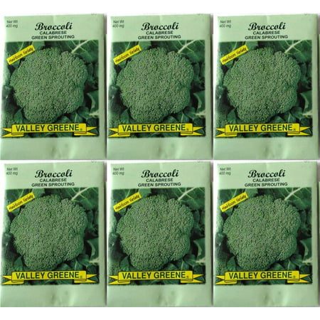 Valley Greene (6 Pack) 400 mg/Package Broccoli Heirloom Variety