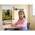 thumbnail image 3 of Flat-Coated Retriever Fetching Tennis Ball Sunny Field Wildlife 12x18 US Made Poster, 3 of 7